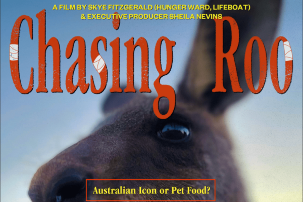 In Oscar-Shortlisted ‘Chasing Roo,’ Australia’s Beloved Marsupials Fall To Rifle Shots, By The Millions
