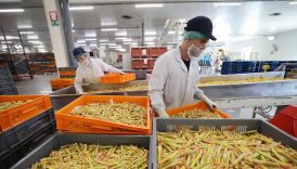Ferrero en passe de racheter le fabricant du Carambar